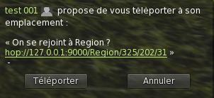 Fichier:Firestorm Tuto Inventaire Item Utilisation Carte Visite Accepter.jpg