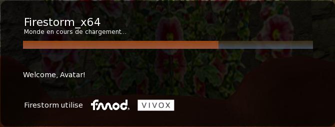 Fichier:Firestorm Tuto Preferences Graphiques Rendu Curseur Connexion.jpg