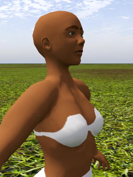 Fichier:Firestorm Tuto Editeur Vetements Chemise Soutien-gorge.jpg