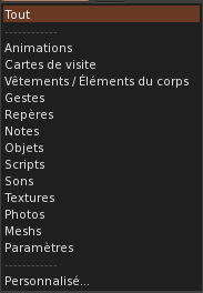 Fichier:Firestorm Inventaire type items.png