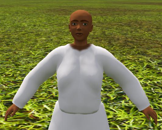 Fichier:Firestorm Tuto Editeur Vetements Chemise Pull.jpg