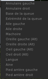 Fichier:Firestorm Tuto Apparence Enlever Détacher squelette.png