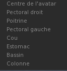 Fichier:Firestorm Tuto Apparence Enlever Détacher torse.png