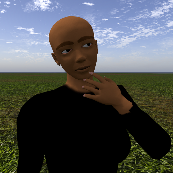 Fichier:Photo avatar couleurs.png