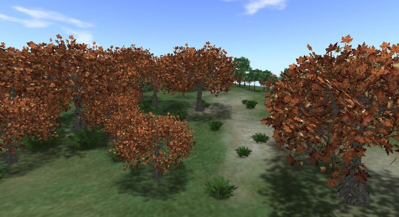 Fichier:Vegetation 001.jpg