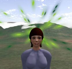 Particules portées par l'avatar