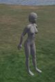 Avatar non chargé