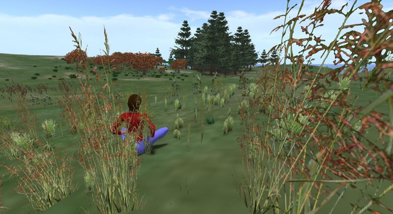 Fichier:Vegetation 007.jpg