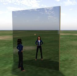 Un avatar se reflète dans un miroir