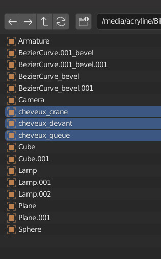 Fichier:Animesh tuto OSWIKI capture blender 0077 menu append 003.jpg