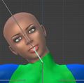 4. Test skinning