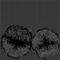 UVMap du crâne