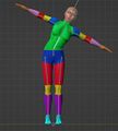 4. Test skinning