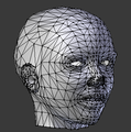 Maillage de la tête de l'avatar